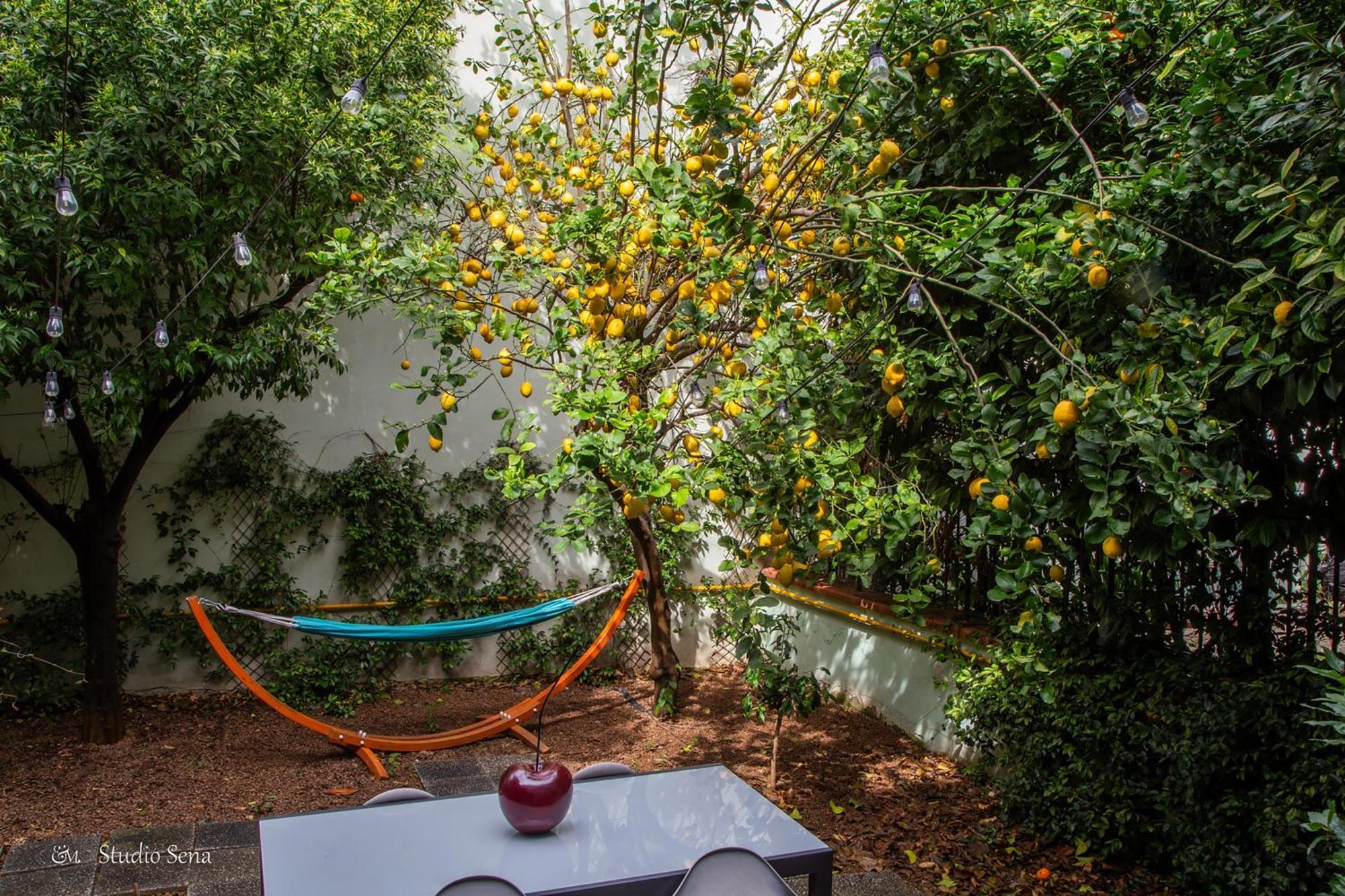 Utopia Bed & Breakfast Marigliano Dış mekan fotoğraf